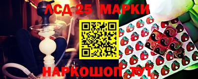 индика Усть-Джегута