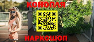 индика Усть-Джегута