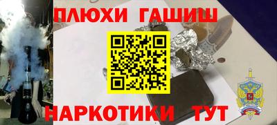 индика Усть-Джегута