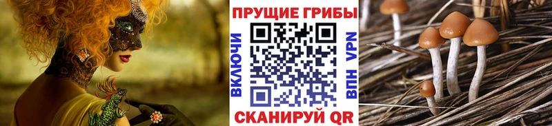 Галлюциногенные грибы ЛСД  цена наркотик  Сафоново 
