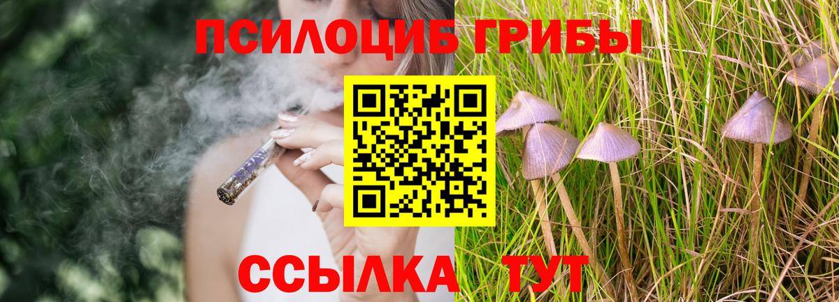 Сафоново  Галлюциногенные грибы Psilocybe  Вход с VPN  Псилоцибиновые грибы MAGIC MUSHROOMS 