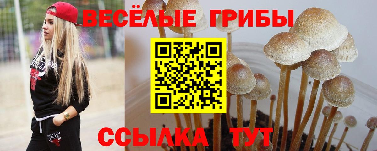 Сафоново  Мефедрон  Гашиш  Вход с VPN  Кокаин  Альфа ПВП СК кристаллы  Меф кристаллы  Каннабис 